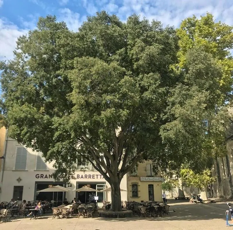 Magnifique T4 Intra-Muros Centre Avignon Apartment