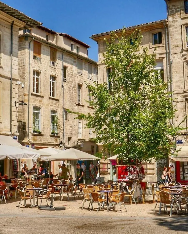 Apartment Magnifique T4 Intra-Muros Centre Avignon France